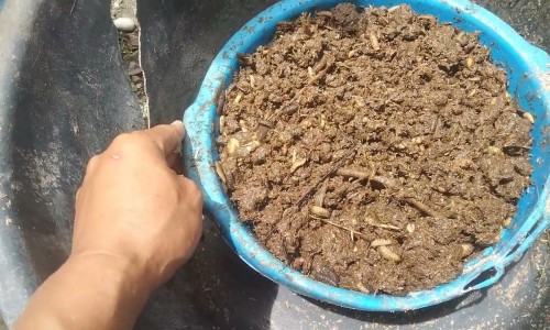 硝酸咪康唑栓怎么样-硝酸咪康唑栓什么价格网 :分享硝酸咪康唑栓6粒装-硝酸咪康唑栓的说明书知识
