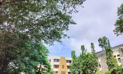硝酸咪康唑栓使用图解-硝酸咪康唑栓什么价格网 :分享硝酸咪康唑栓6粒装-硝酸咪康唑栓的说明书知识
